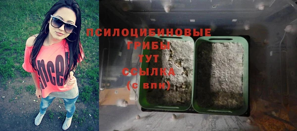 бошки Арсеньев